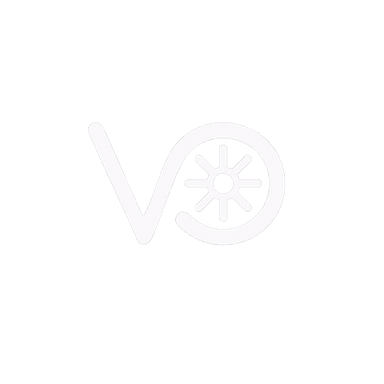 VroomOut Logo